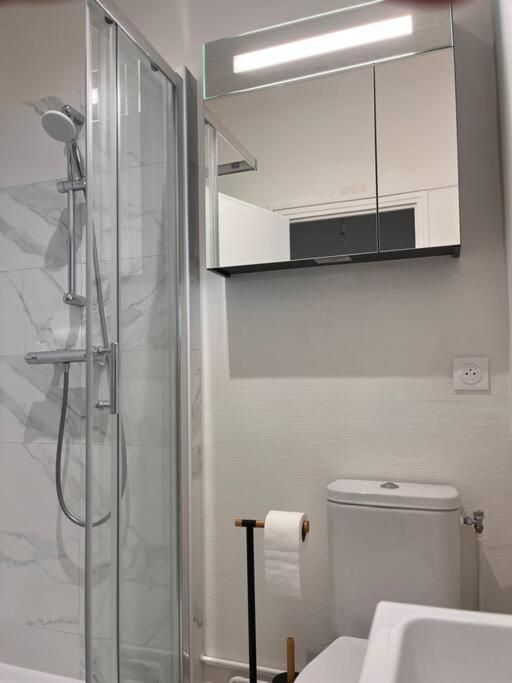 Duplex Hypercentre Au Calme Avec Parking Fontainebleau